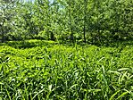IMG_20250502_152035
