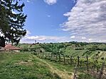 IMG20250524145407