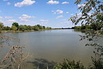 Holt-Tisza