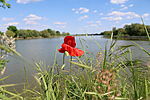 Holt-Tisza