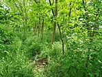 IMG_20250503_101454