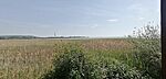 IMG_20250503_105114