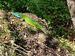 IMG_20250531_114649.jpg