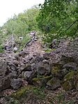 20250507_132124.jpg
