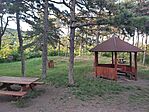 GCNAP_20250531_185547