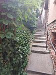 IMG_20250531_174053.jpg