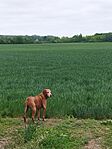 IMG_20250507_104926