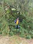 IMG_20250507_093517