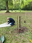 IMG_20250508_101530