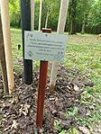 IMG_20250508_101538