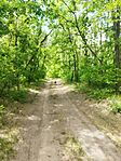 IMG_20250517_122531