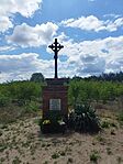 IMG_20250517_122503