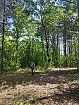 IMG_20250517_123512