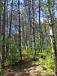 IMG_20250517_123506