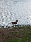 IMG_20250517_132803