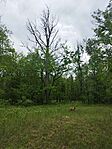 IMG_20250517_134048