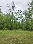 IMG_20250517_134101