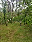 IMG_20250517_134149
