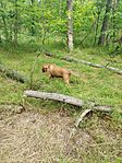 IMG_20250517_134249
