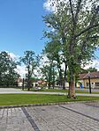 IMG_20250517_135547