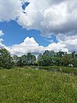 IMG_20250517_114903_BURST1