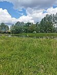 IMG_20250517_114905
