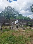 IMG_20250517_115909