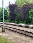 IMG_20250523_152538