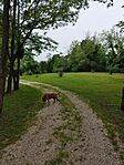 IMG_20250523_154930