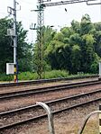 IMG_20250523_152533