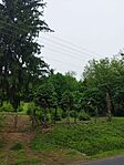 IMG_20250523_155101