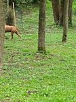 IMG_20250523_154946