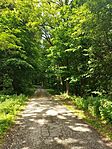 IMG_20250524_102722