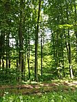 IMG_20250524_102813