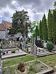 IMG20250524145313