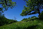 DSC01453