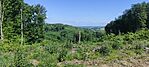 IMG_20250524_093857