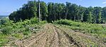 IMG_20250524_093901