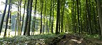 IMG_20250524_100204
