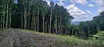 IMG_20250524_101136
