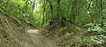 IMG_20250524_103932