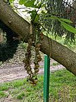 IMG_20250426_152119