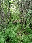 IMG_20250426_175412
