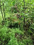 IMG_20250426_175503