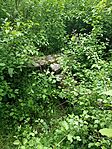 IMG_20250426_180036