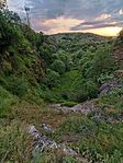 IMG_20250426_190527