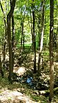 IMG20250510112606