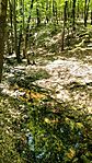 IMG20250510111400