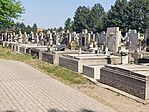 IMG_20250501_104342_MP