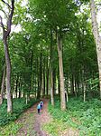 IMG_20250524_112916_952
